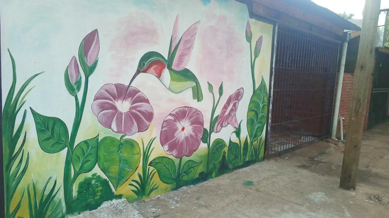 Alojamiento Picaflor Iguazu Hostel Puerto Iguazú Buitenkant foto