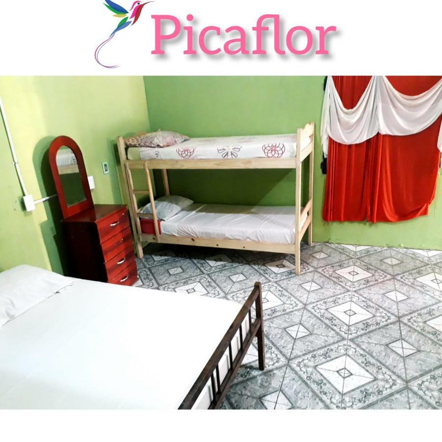 Alojamiento Picaflor Iguazu Hostel Puerto Iguazú Buitenkant foto